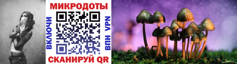 где продают   Цимлянск  Галлюциногенные грибы Cubensis 